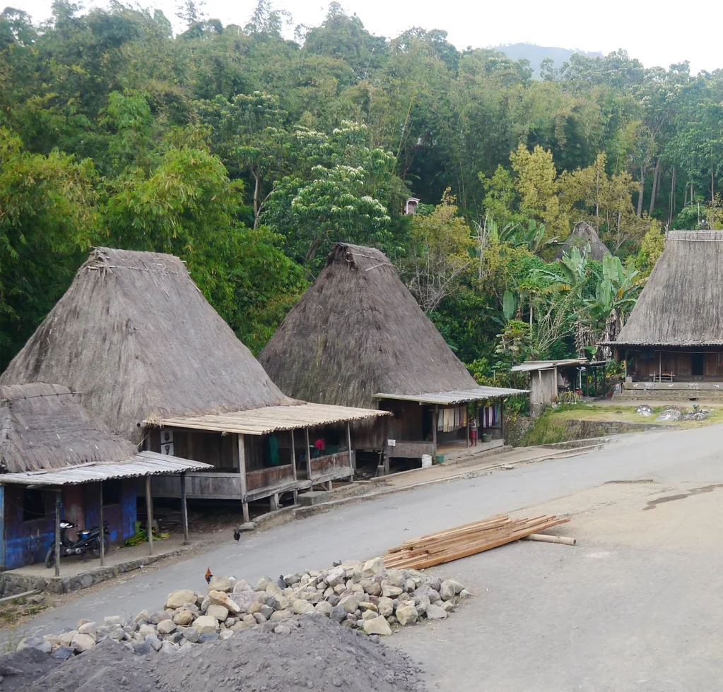 Flores geleneksel mimarisi