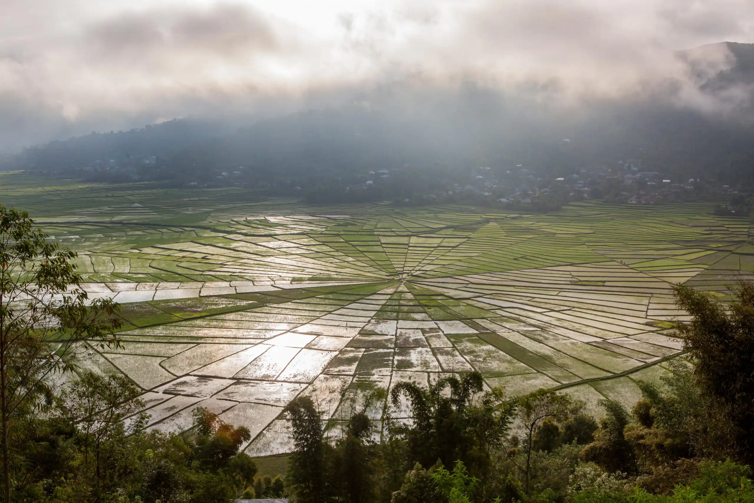 Flores – All in One Turu - Görsel 7