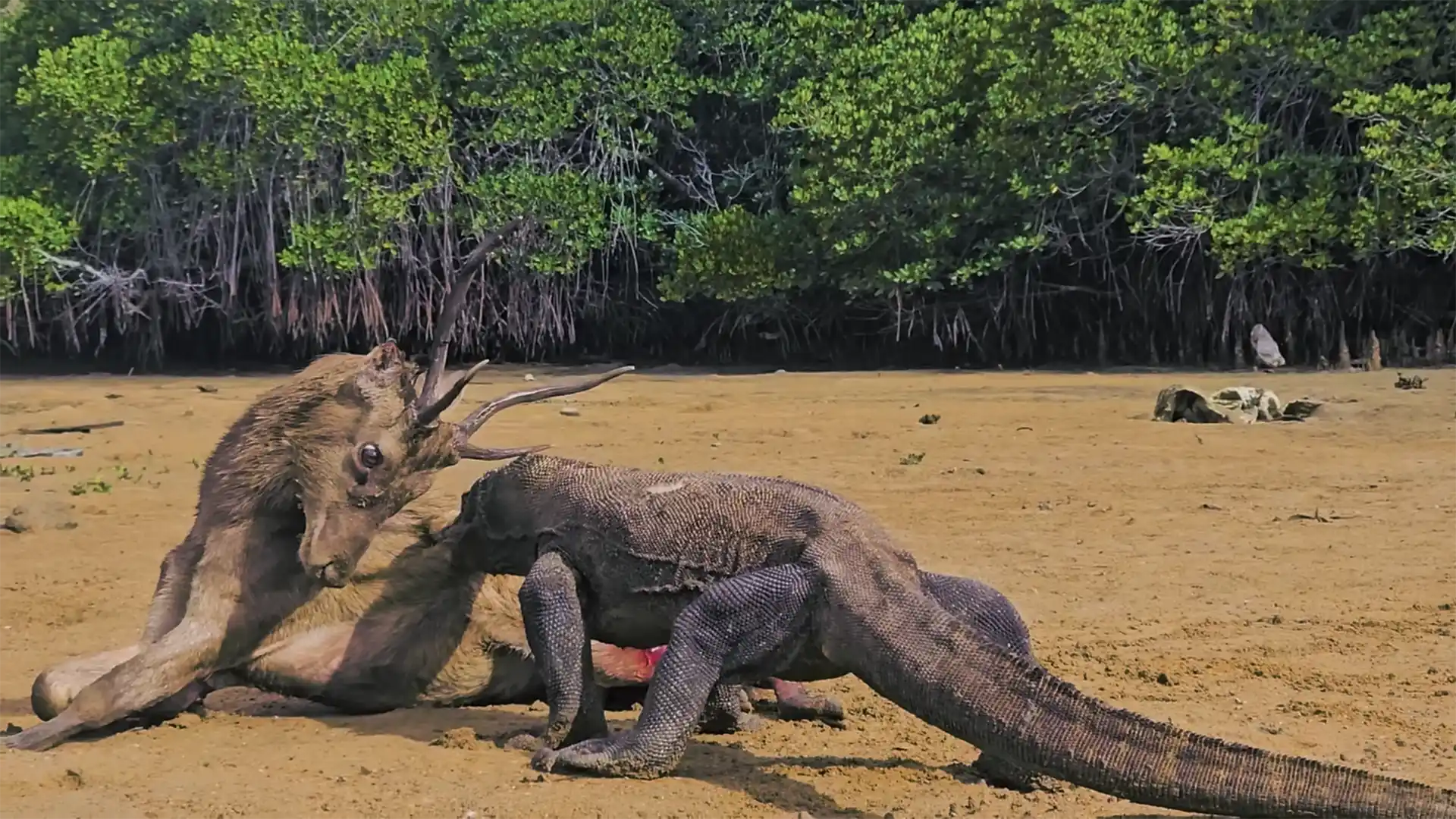 Flores – All in One Turu - Görsel 12