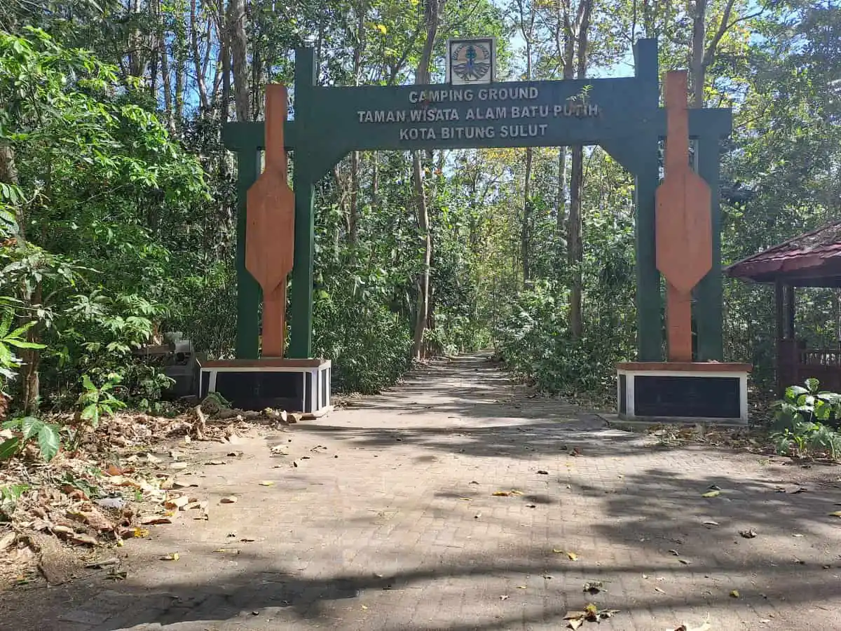 Tangkoko Doğal Hayvan İzleme Turu - Görsel 4