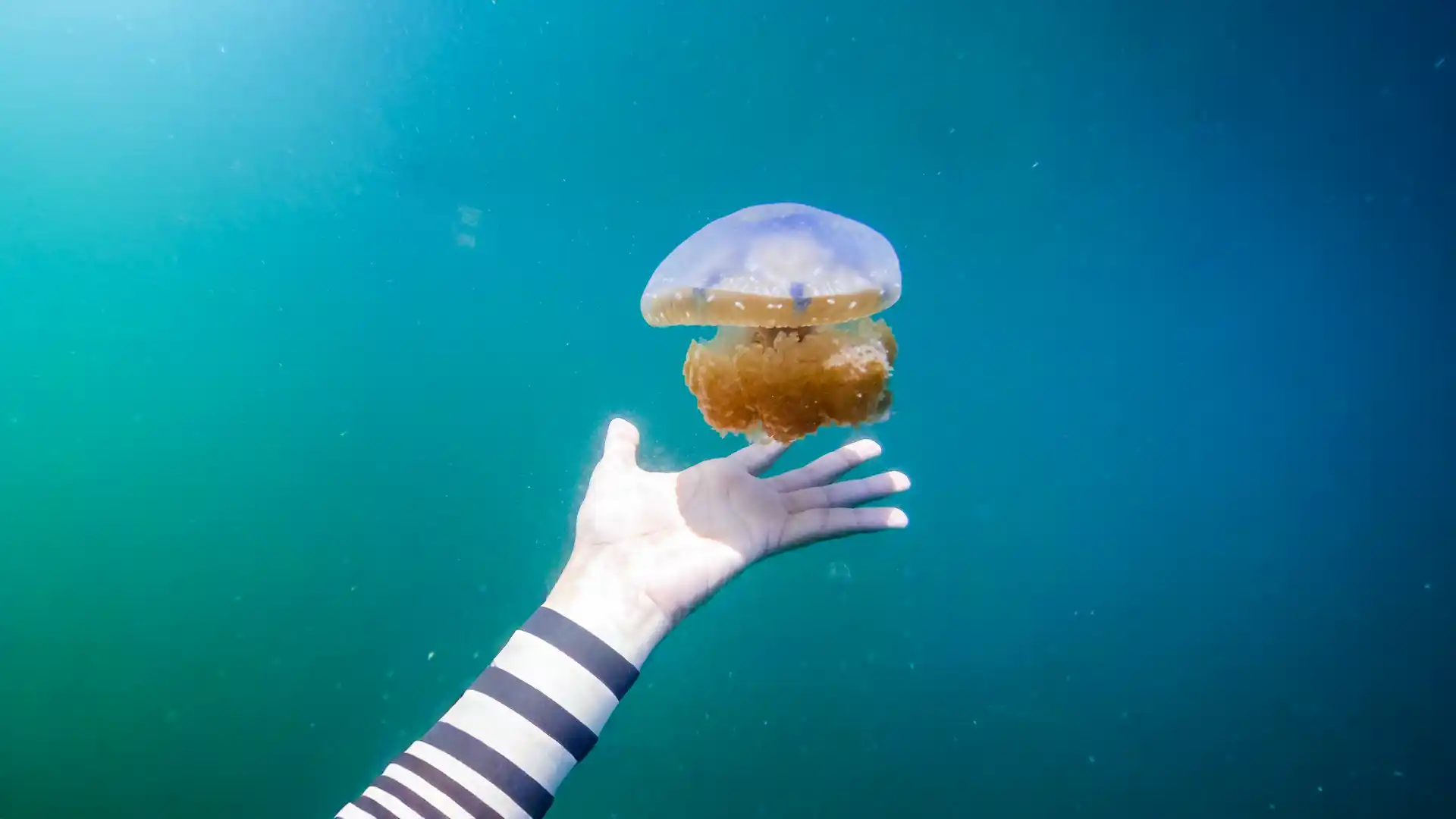 Togean Adaları Kaçamağı - Görsel 3