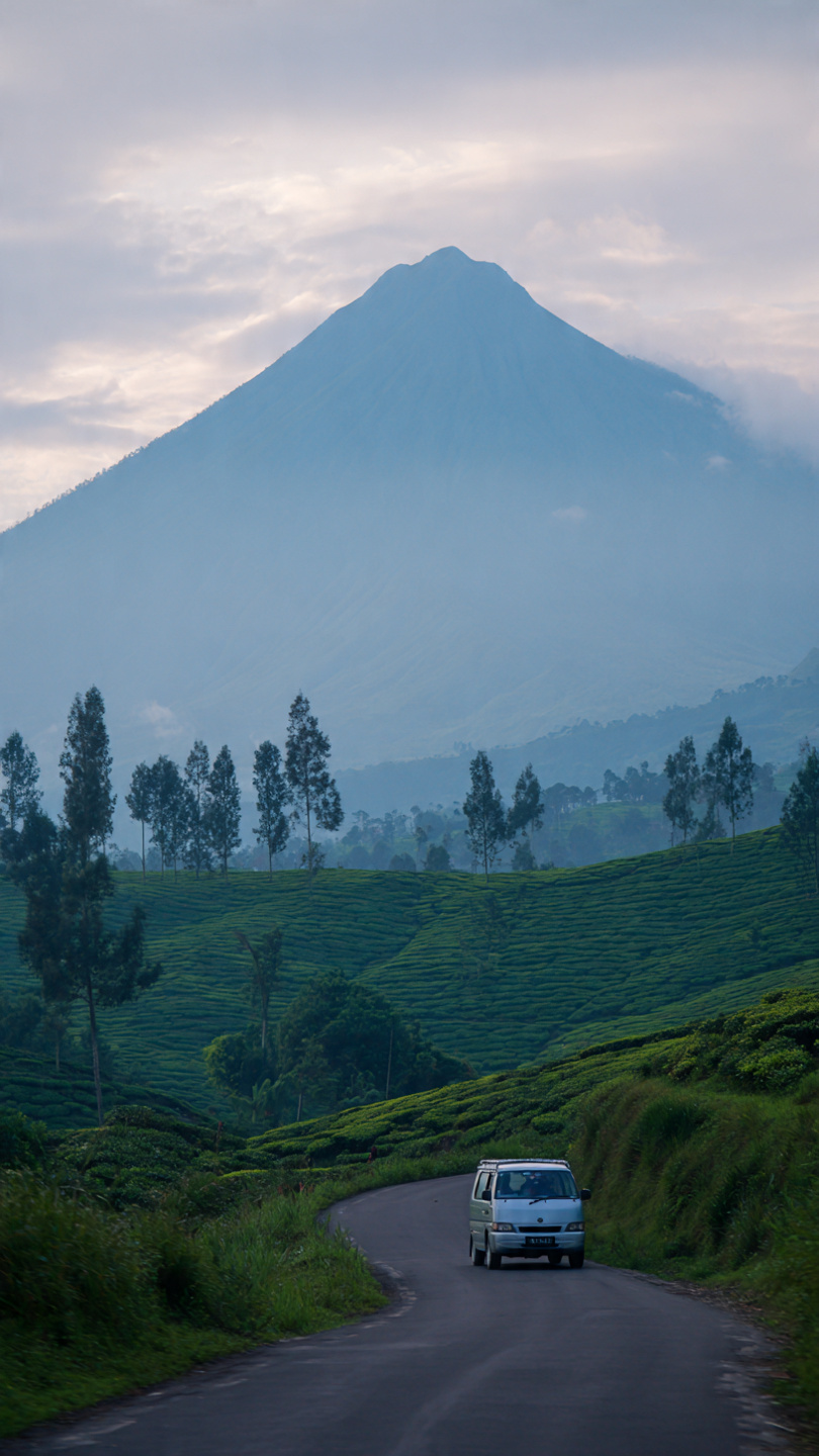 Sumatra - Kerinci & Vahşi Doğa Turu - Görsel 7