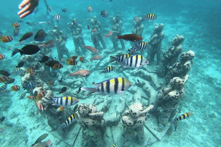 Lombok Gili Adaları Şnorkel Turu