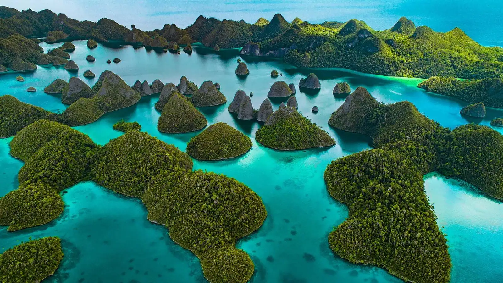 Papua Raja Ampat Dalış ve Ada Keşfi