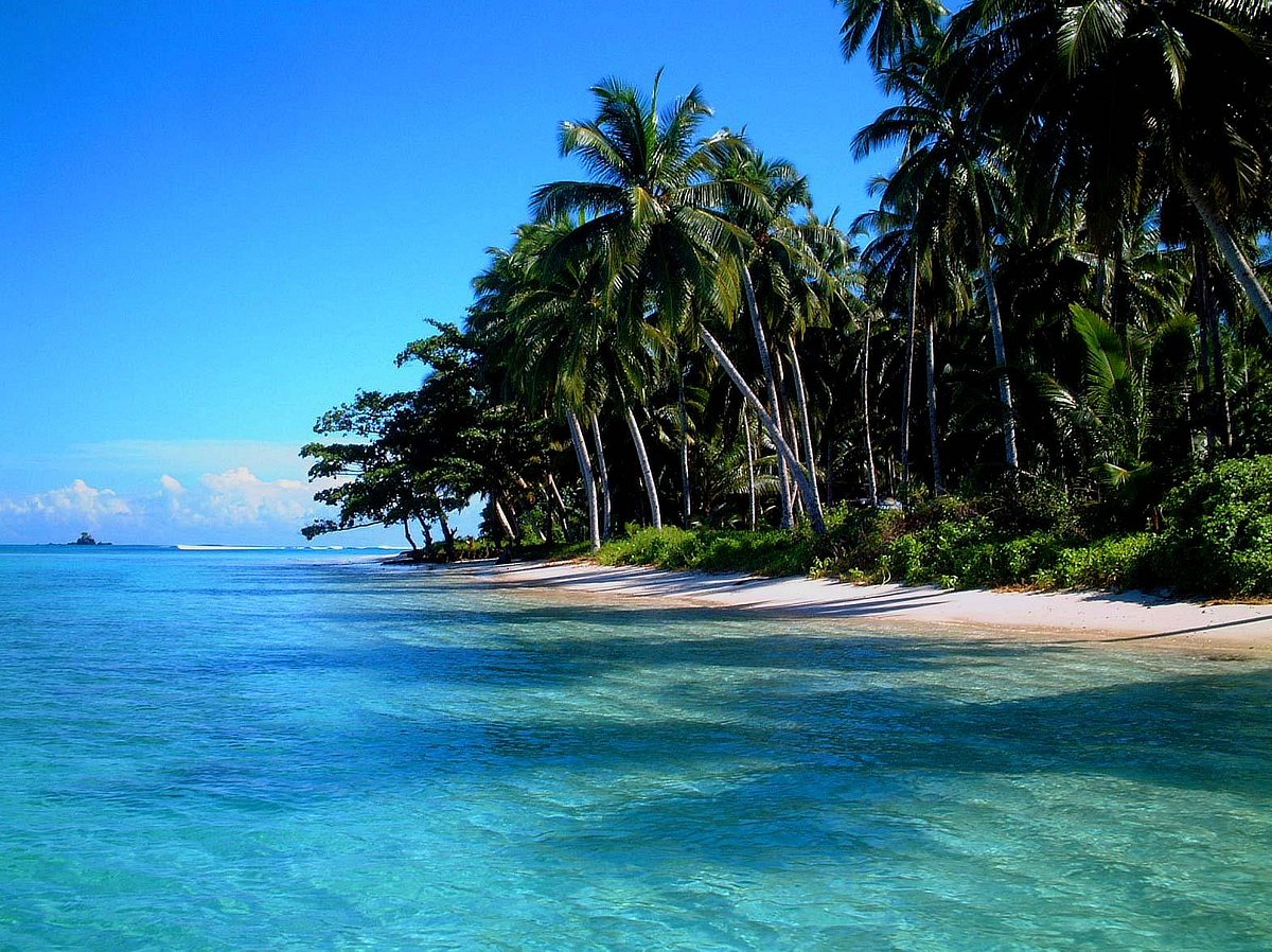 Sumatra Mentawai Adaları Sörf Turu