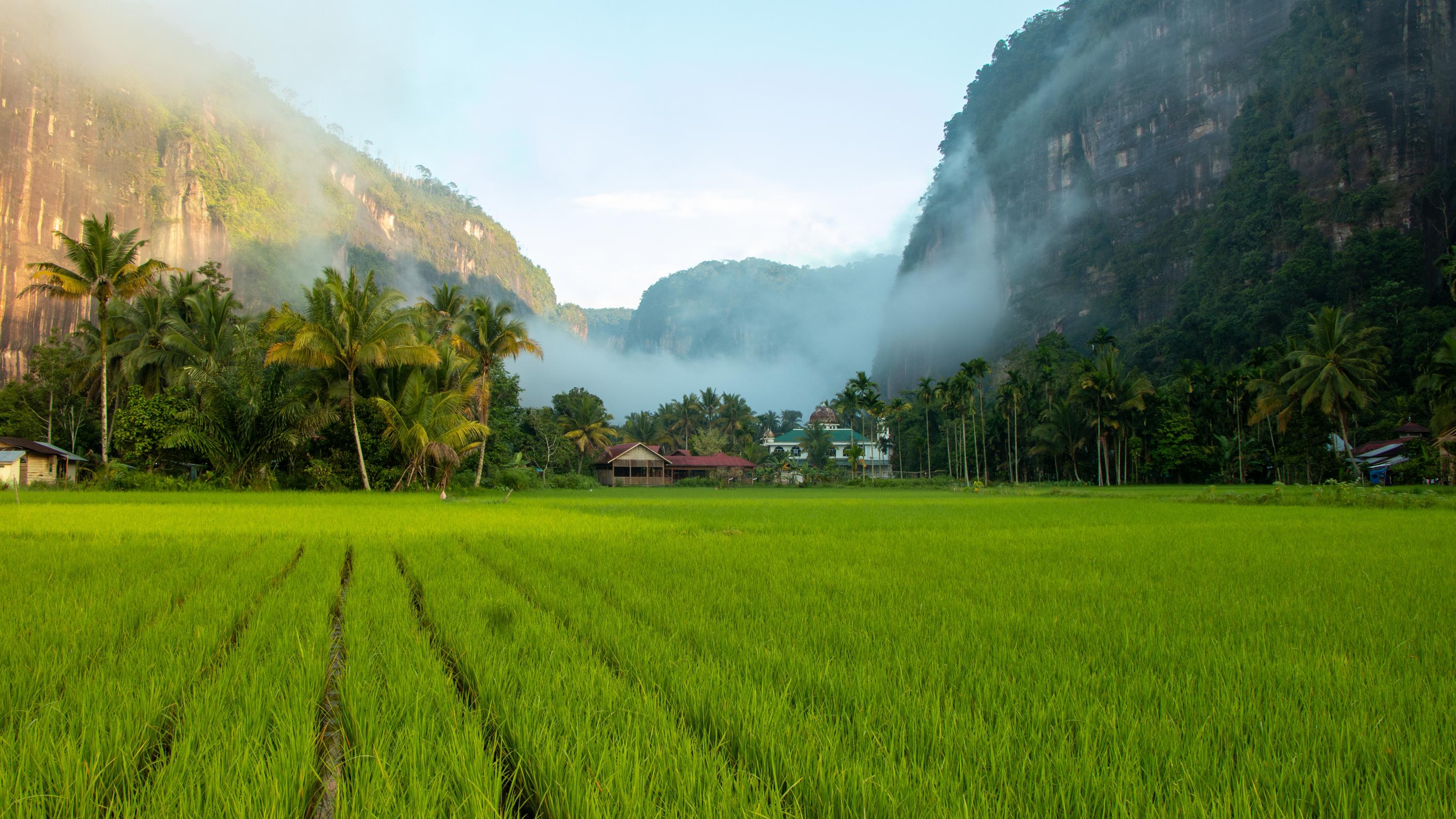 Sumatra Harau Vadisi Kaya Tırmanışı