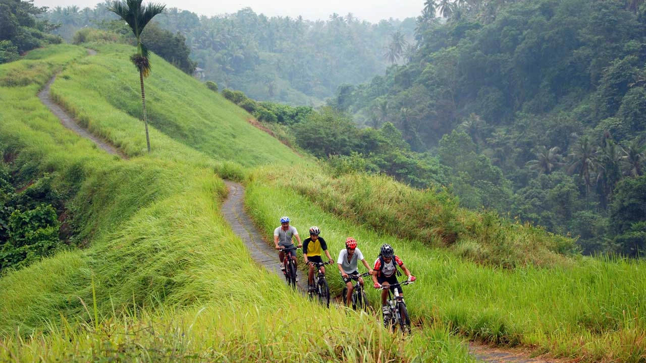 Dağ Bisikleti ve Pirinç Terasları