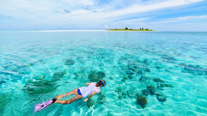 Wakatobi Deniz Parkı Dalış Macerası