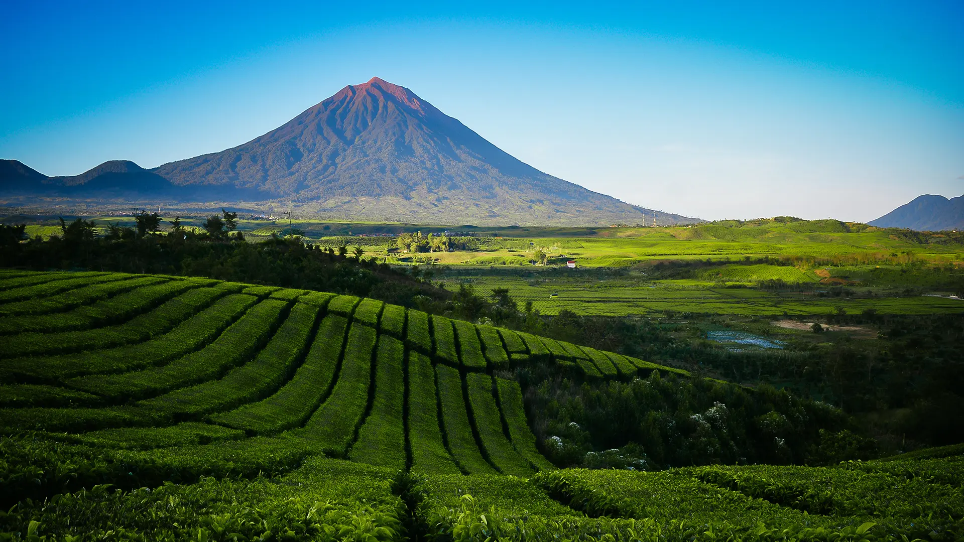 Kerinci Dağı Zirvesi